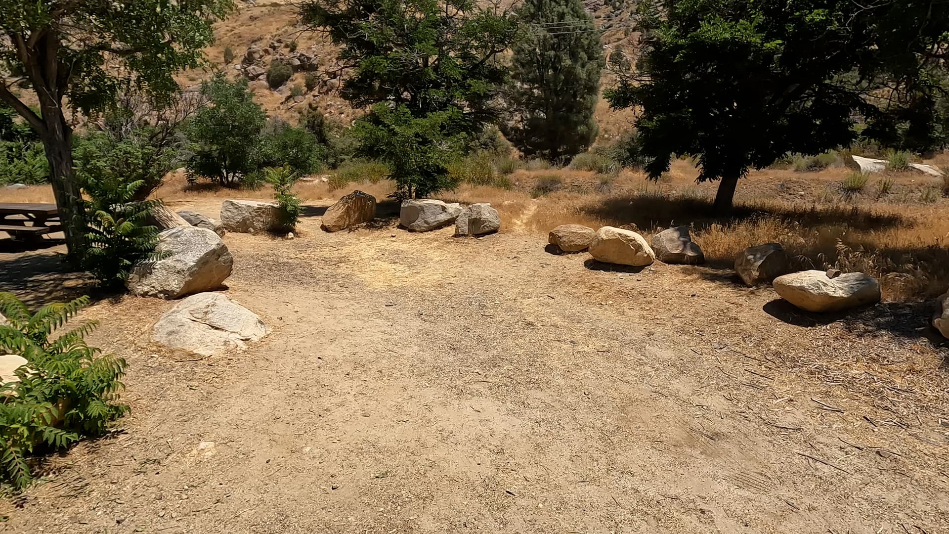 Site 49