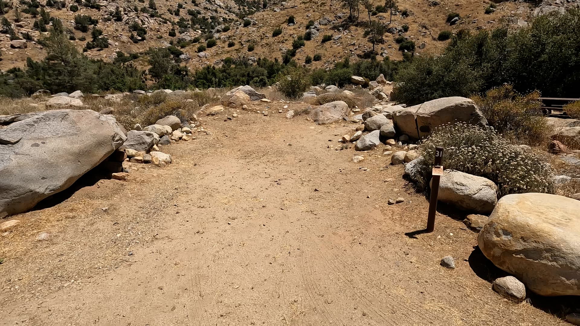 Site 31