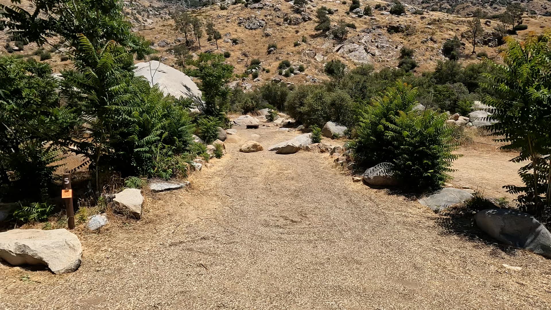 Site 5