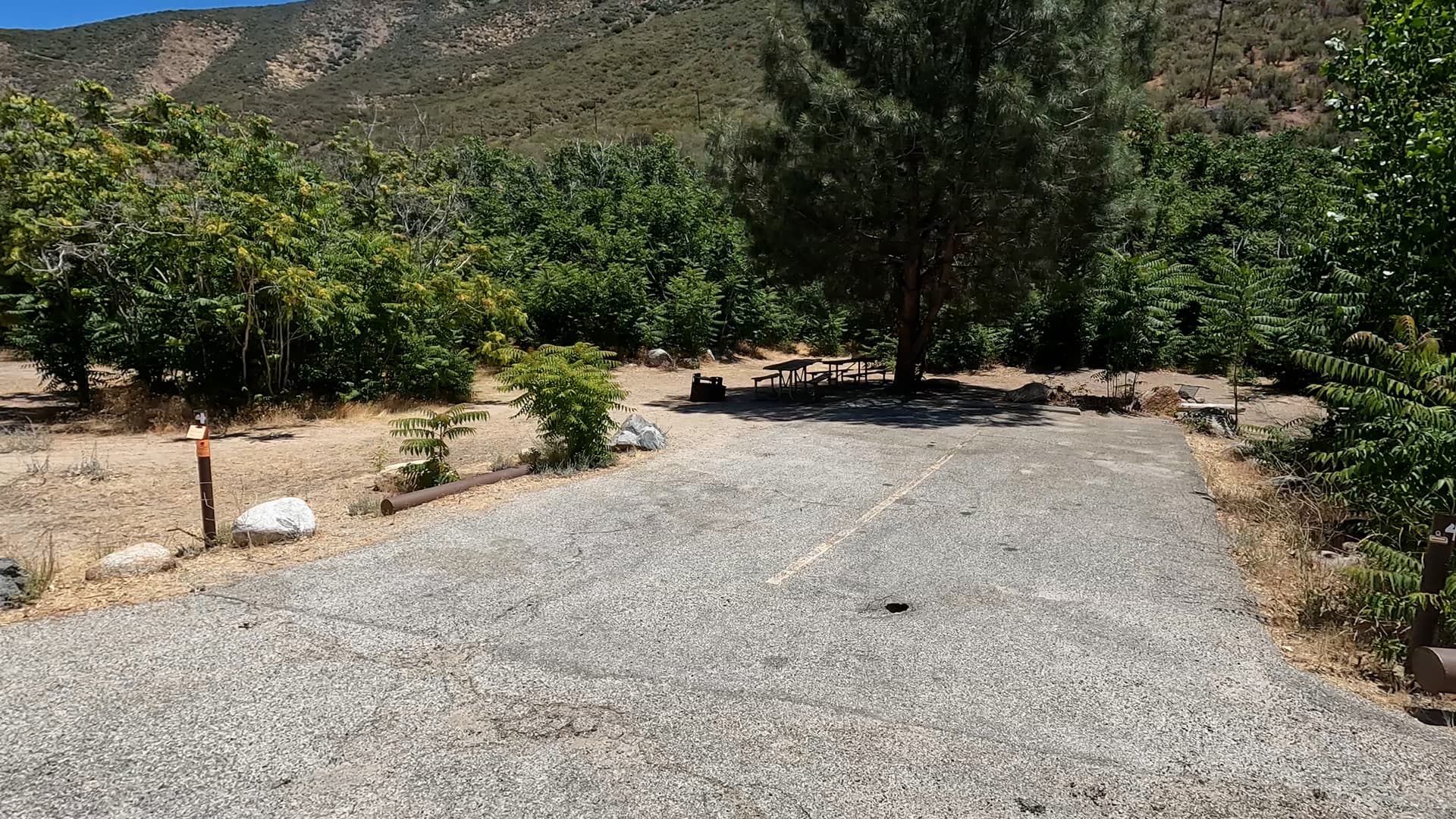 Site 4