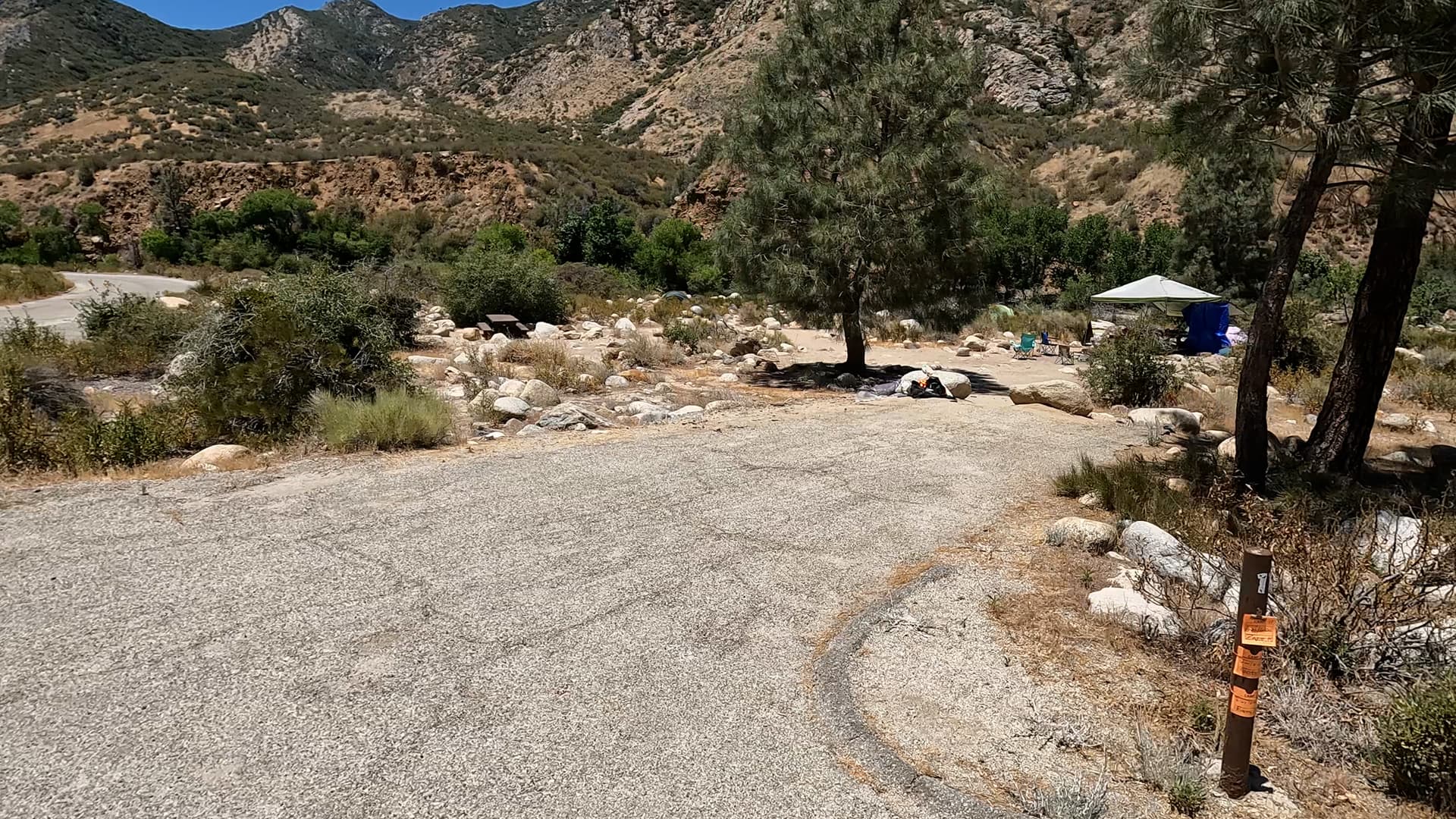Site 11