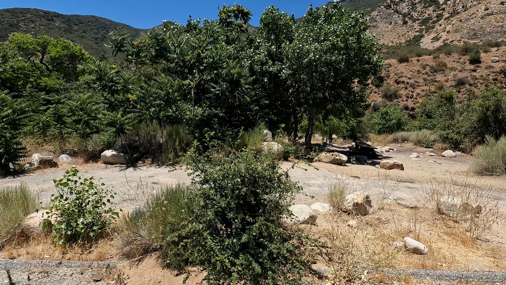 Site 18