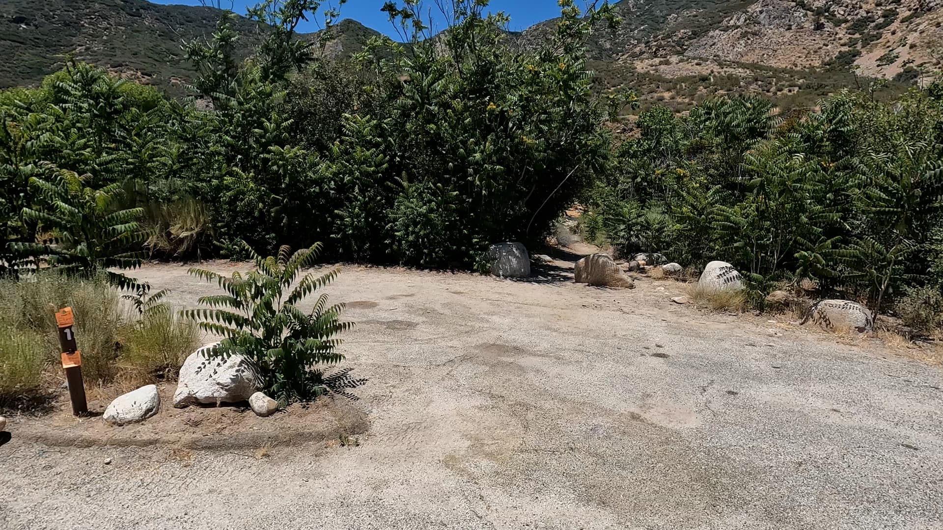 Site 19