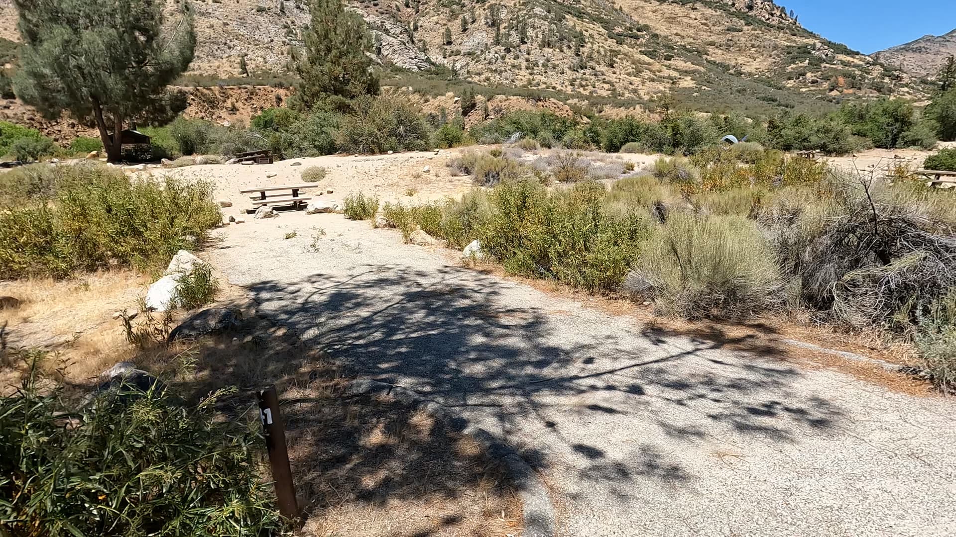 Site 41