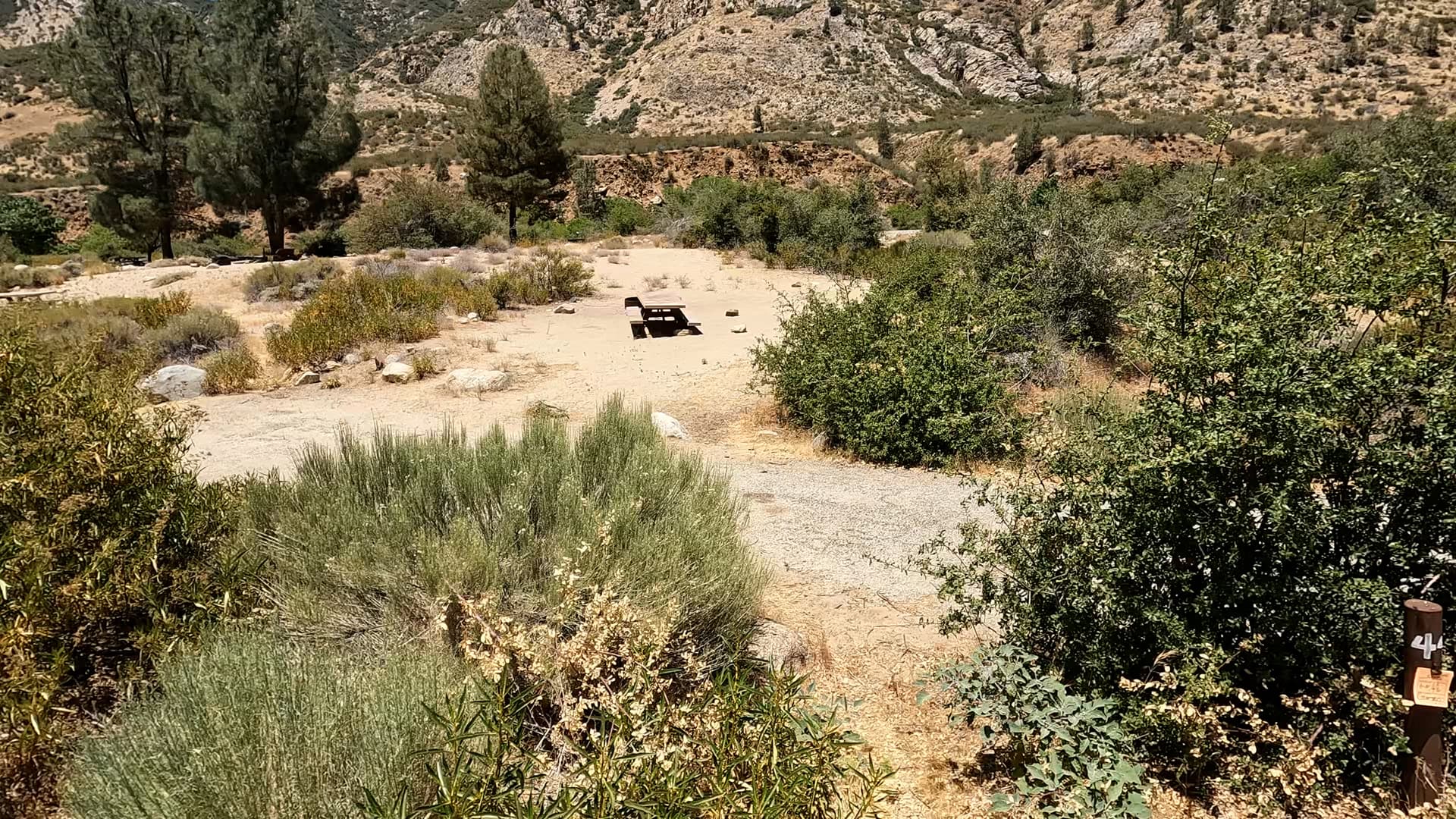 Site 44