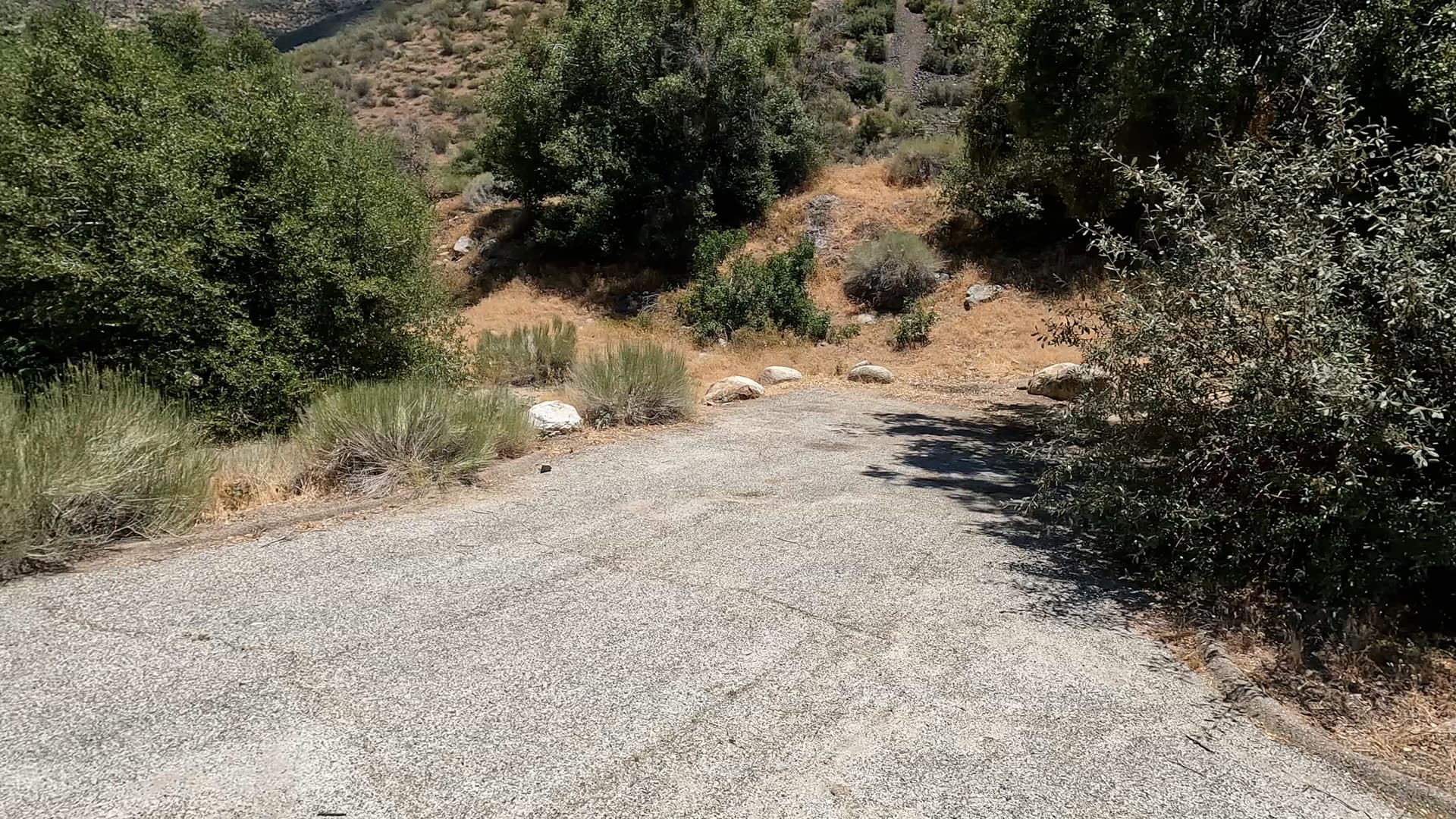 Site 45