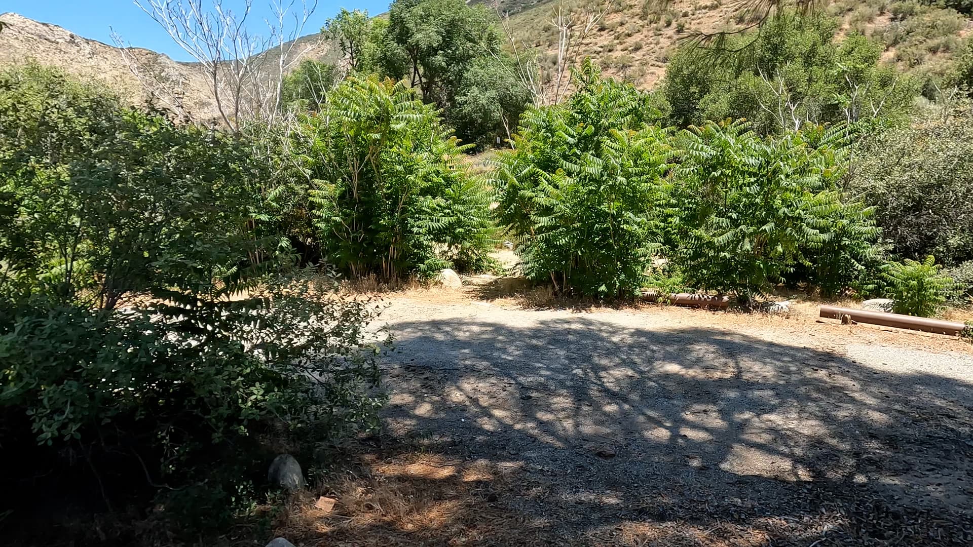 Site 46