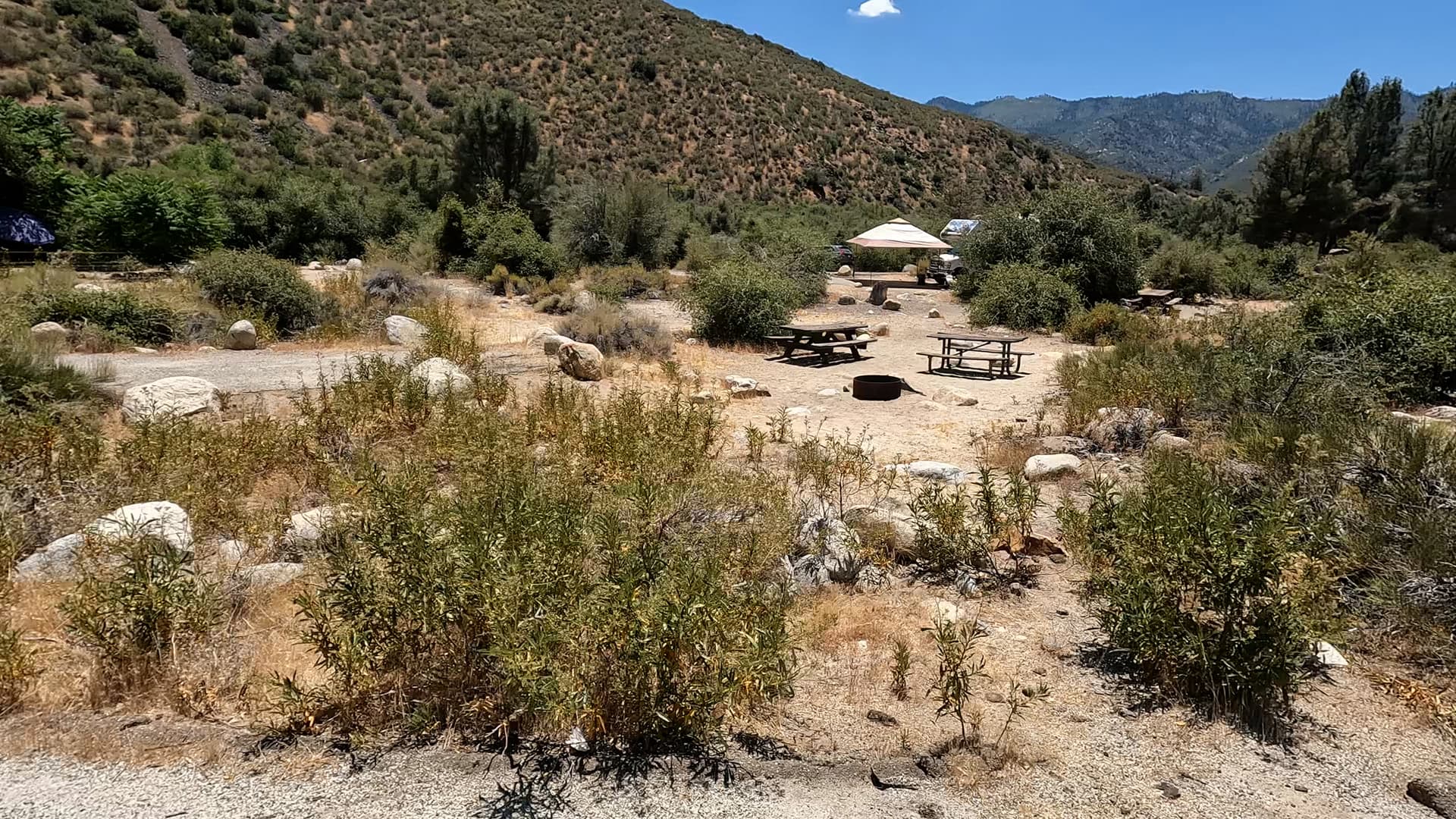 Site 55