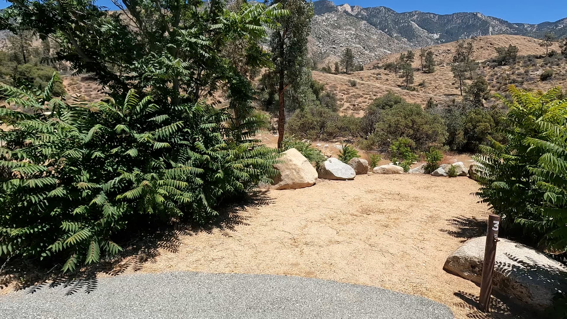 Site 3