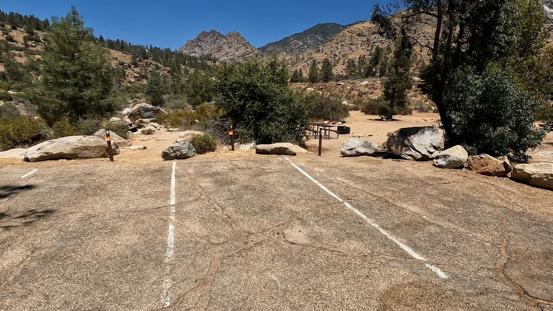 Site 7