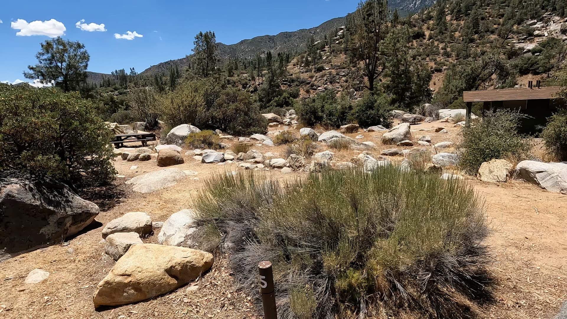Site 5