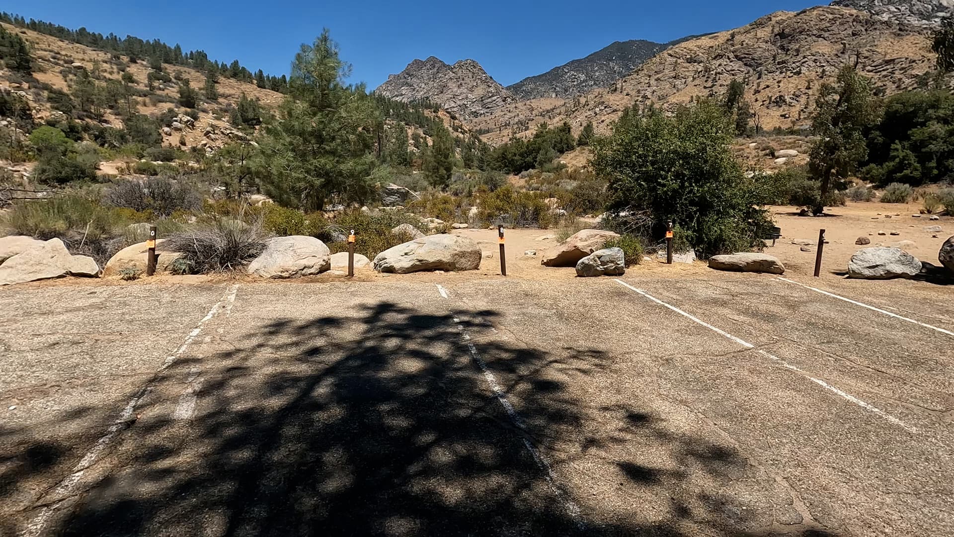 Site 8