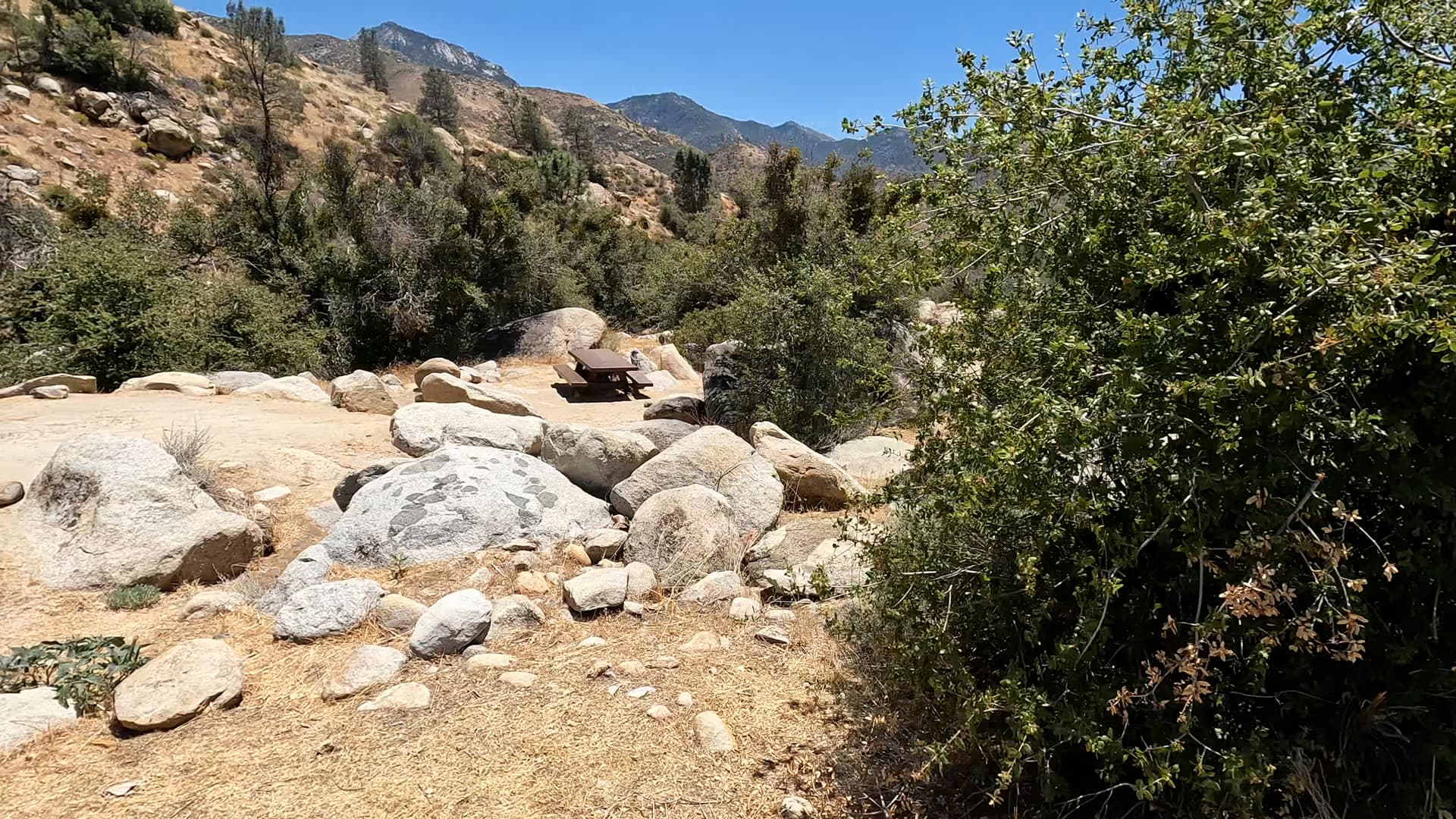 Site 29