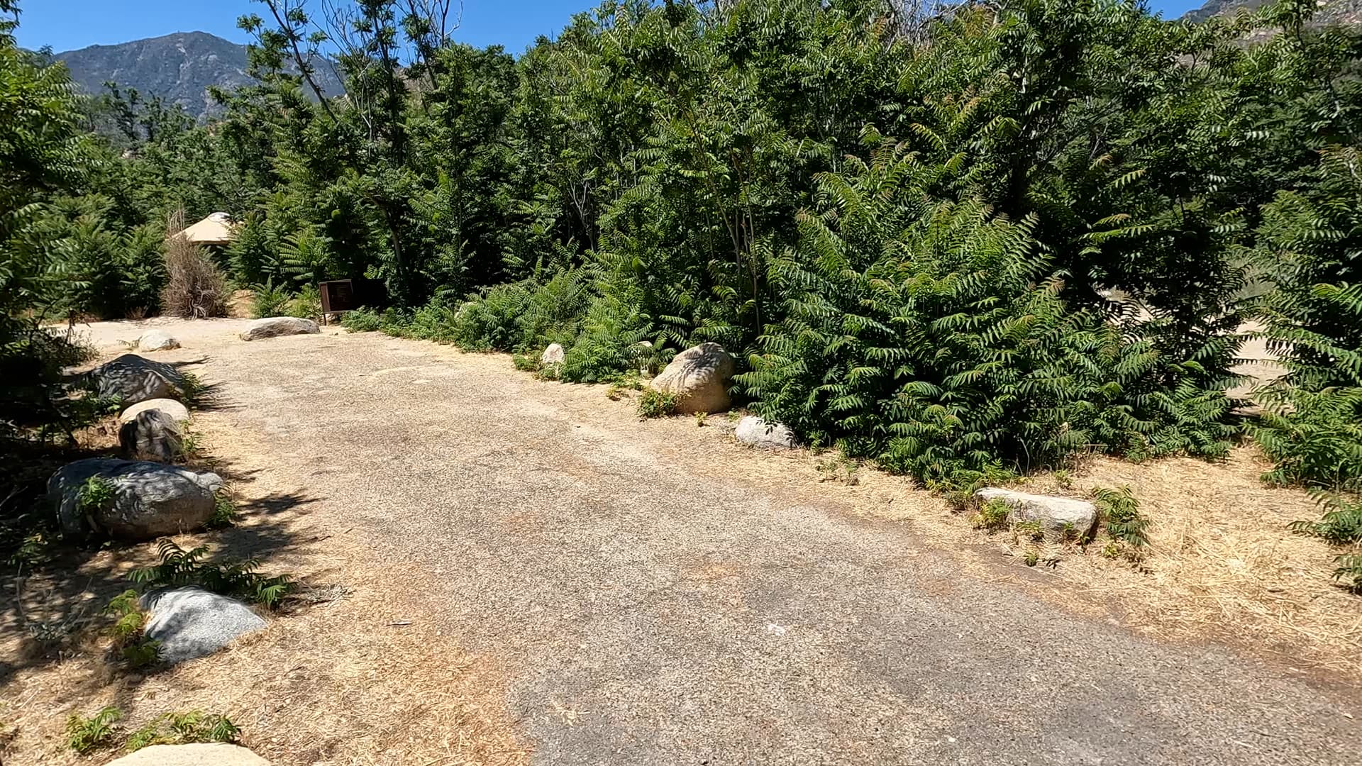 Site 3