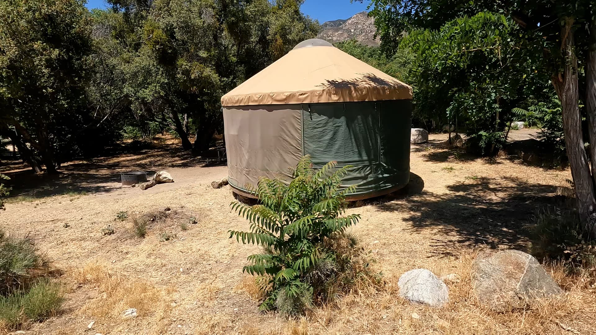 Site 2