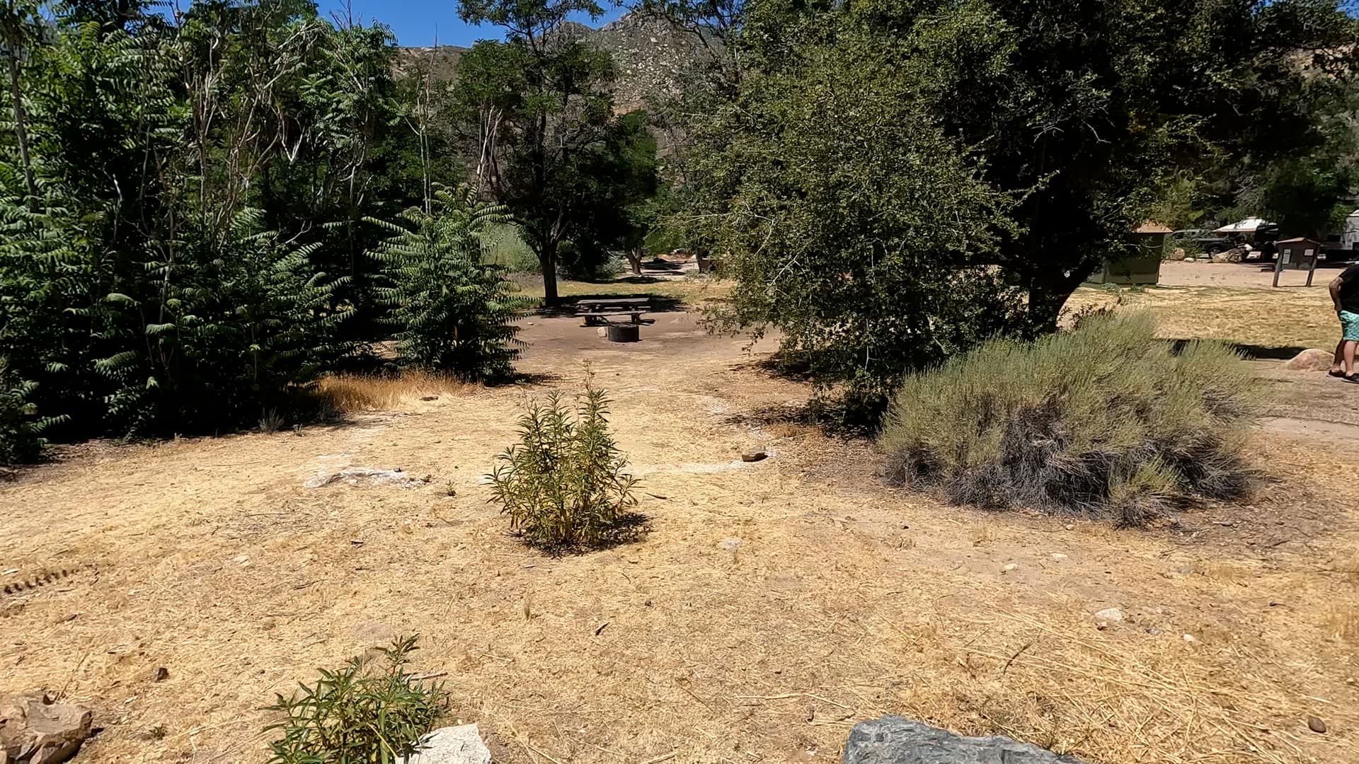Site 6