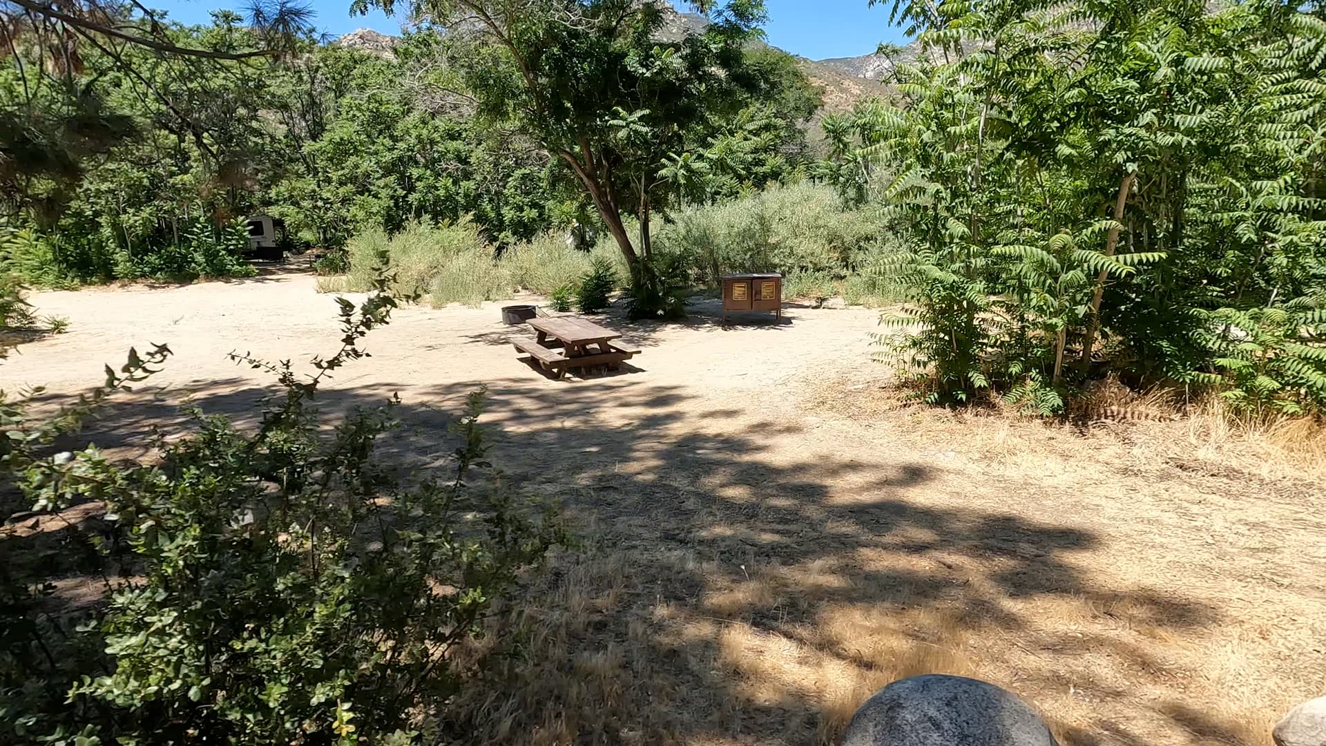 Site 5
