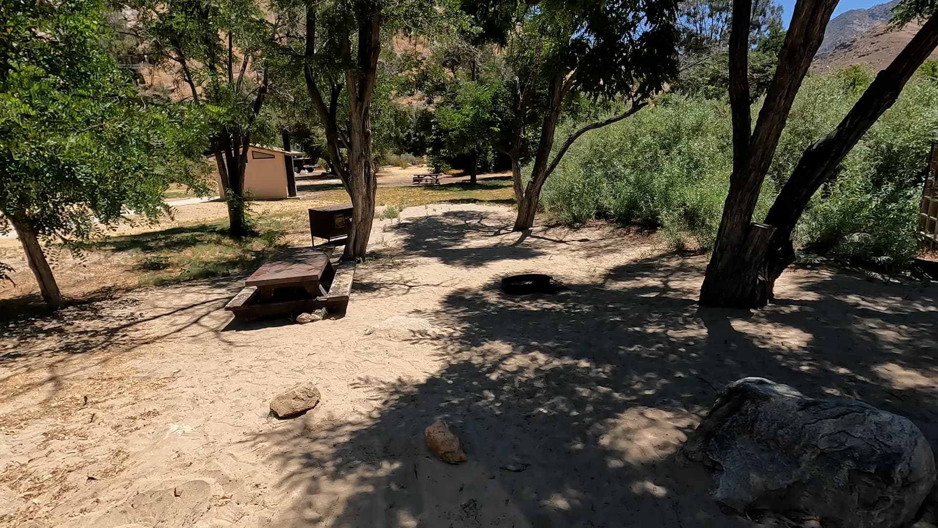 Site 24
