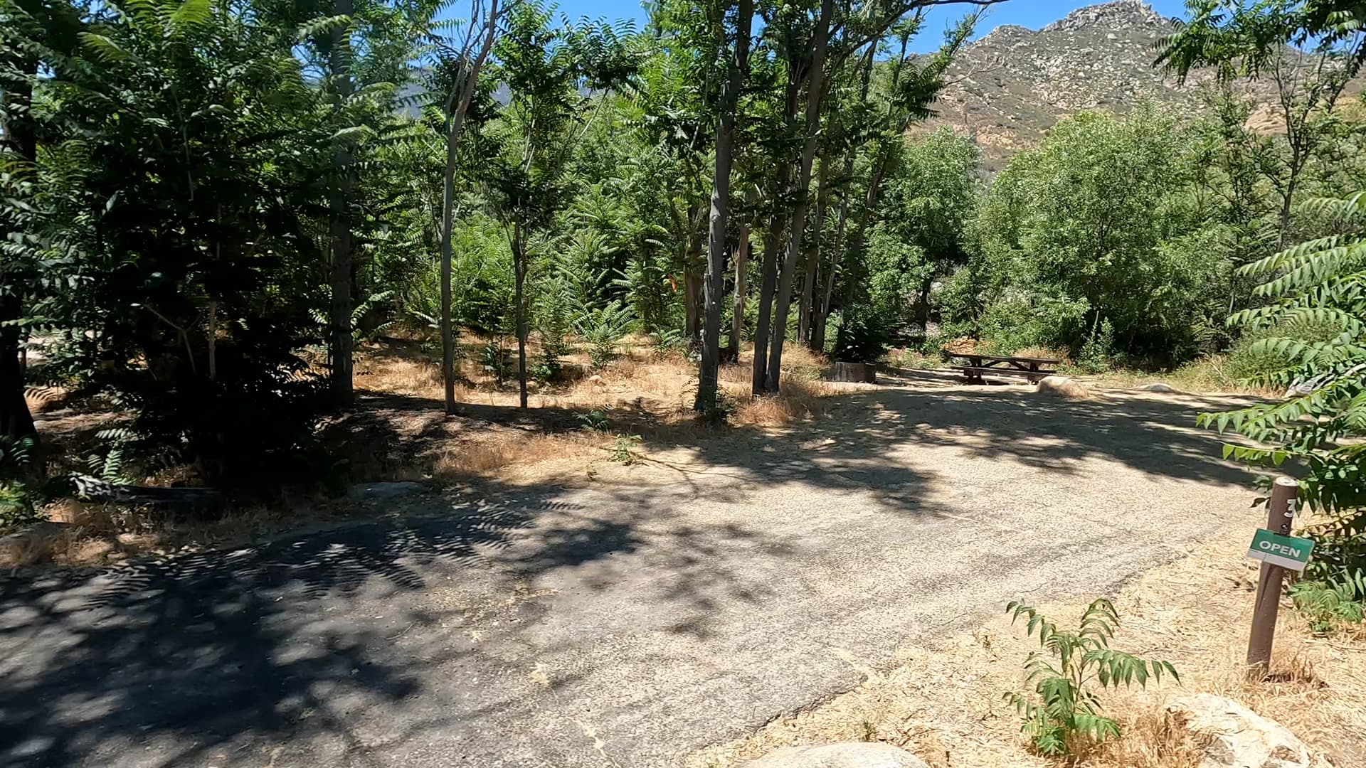 Site 32