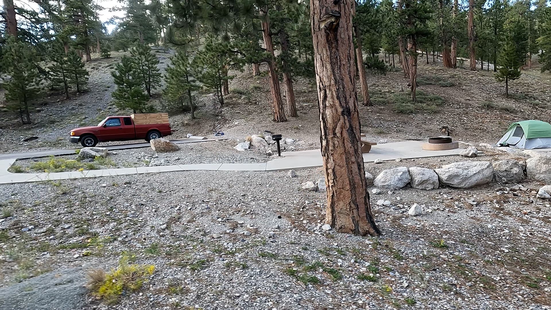 Site 5