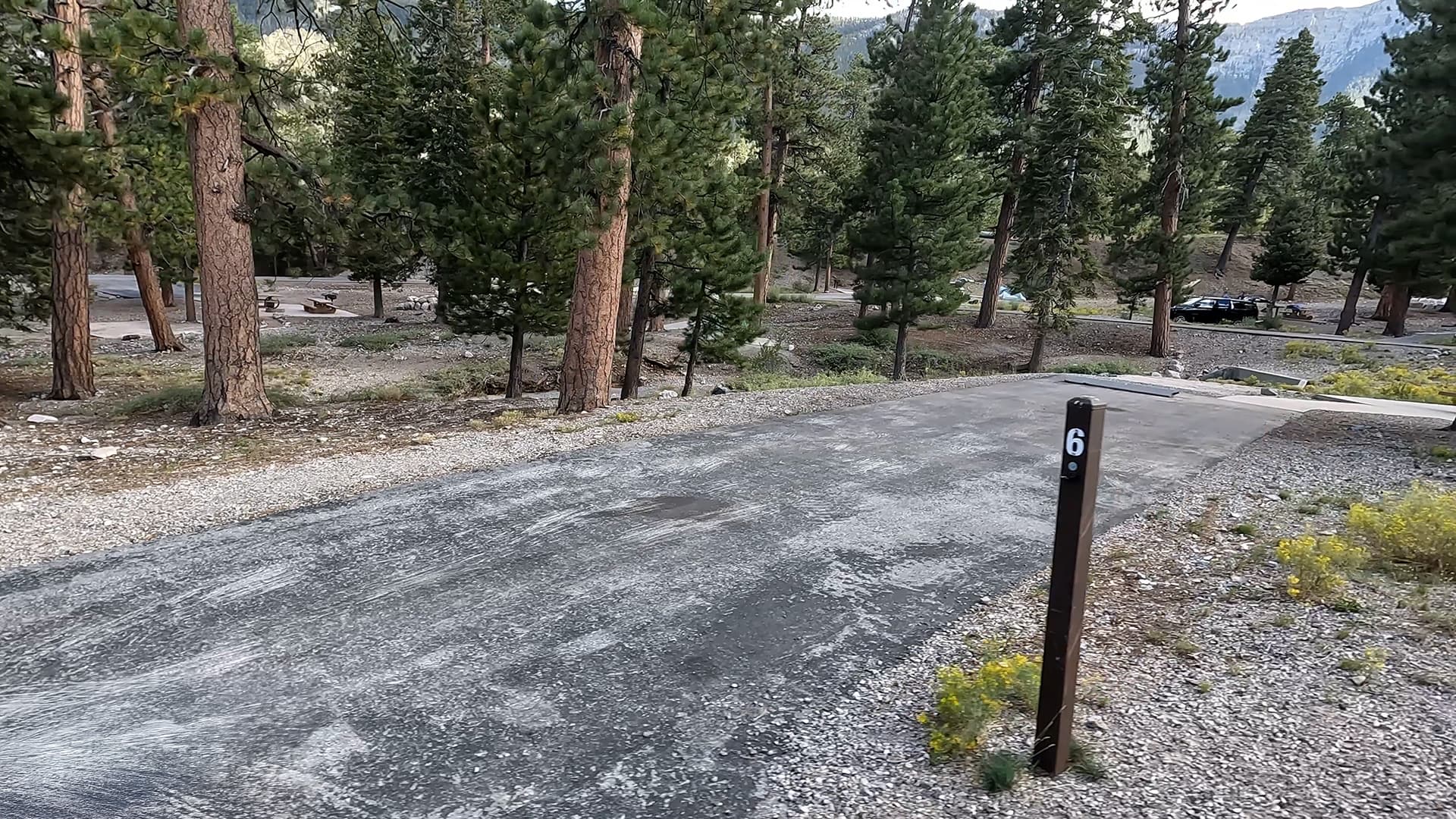 Site 6