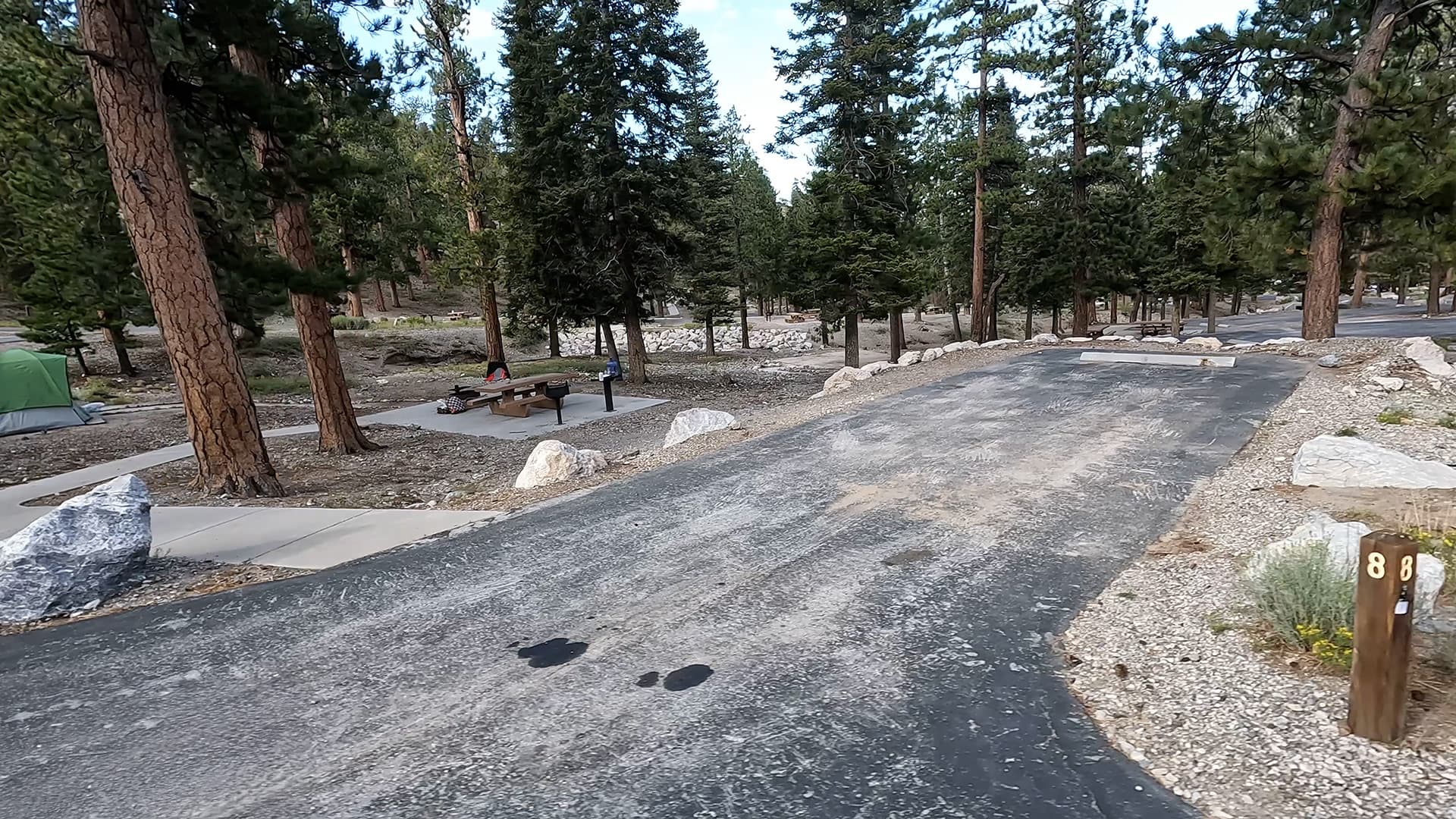 Site 8