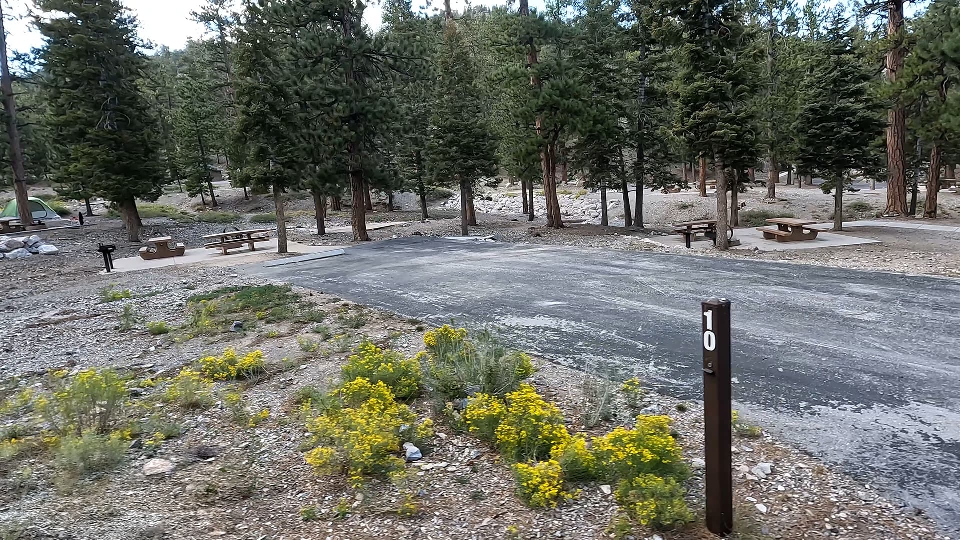 Site 10