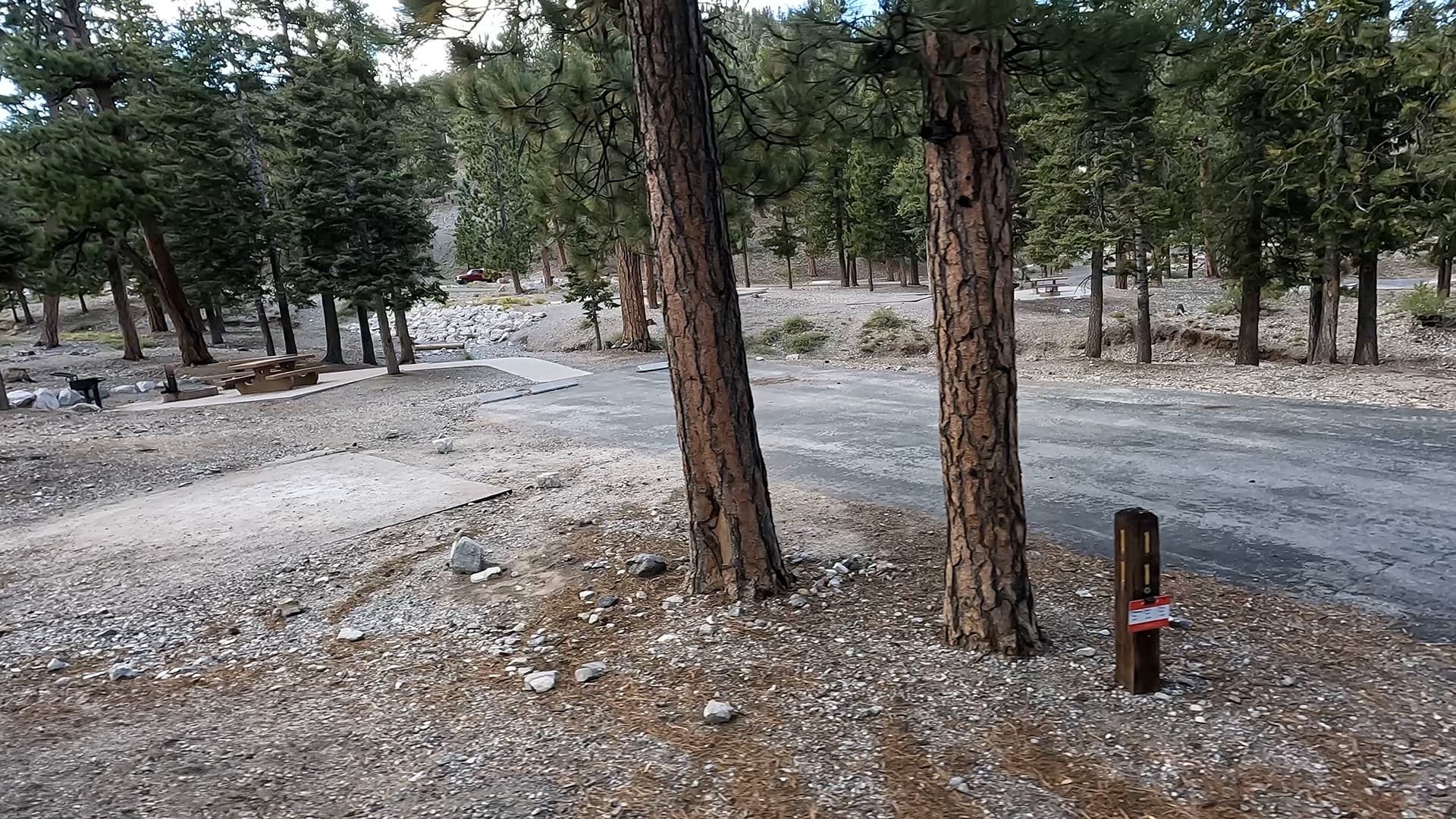 Site 11