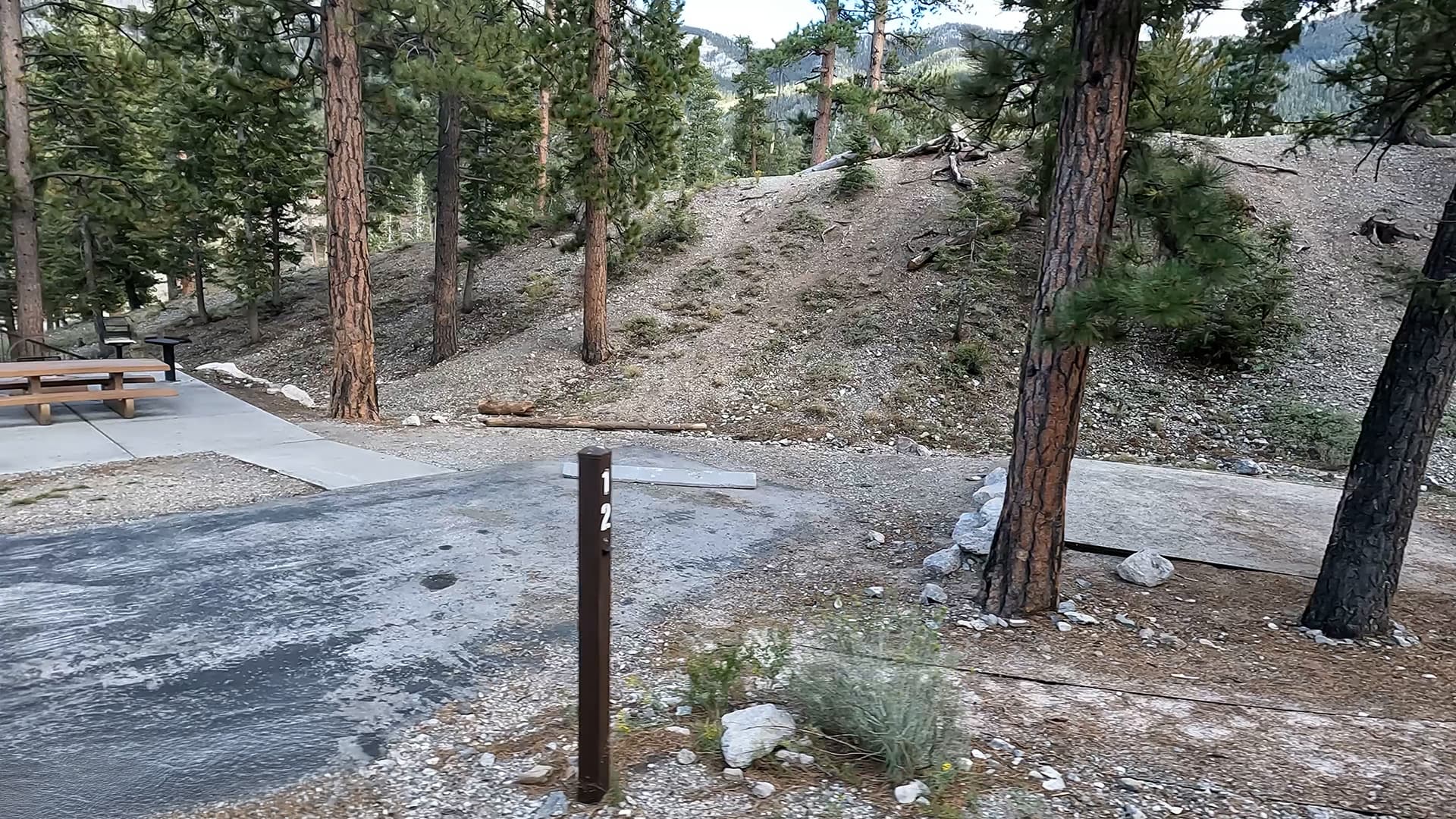Site 12