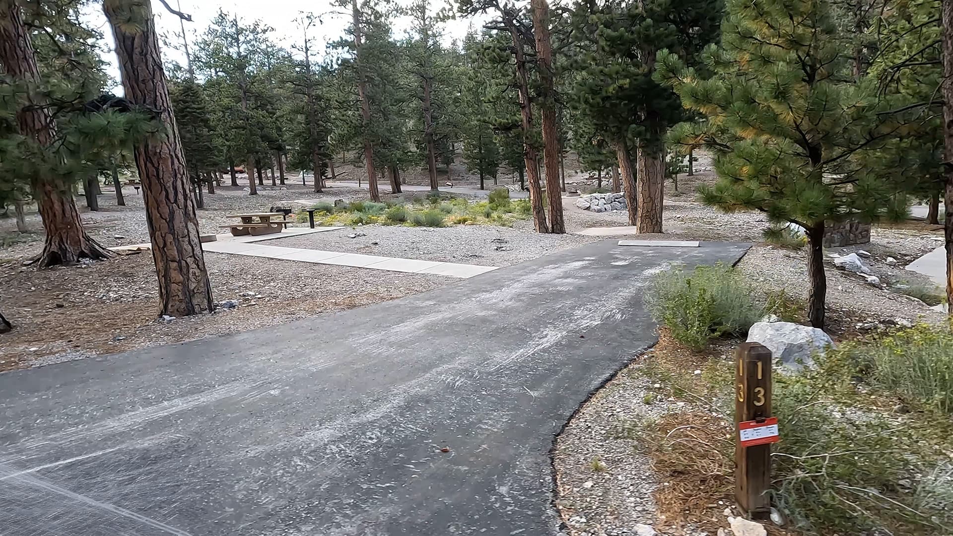Site 13