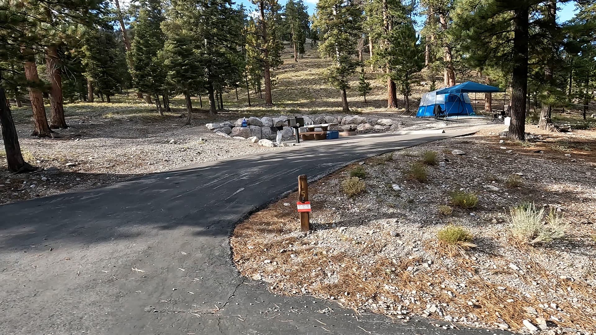 Site 15