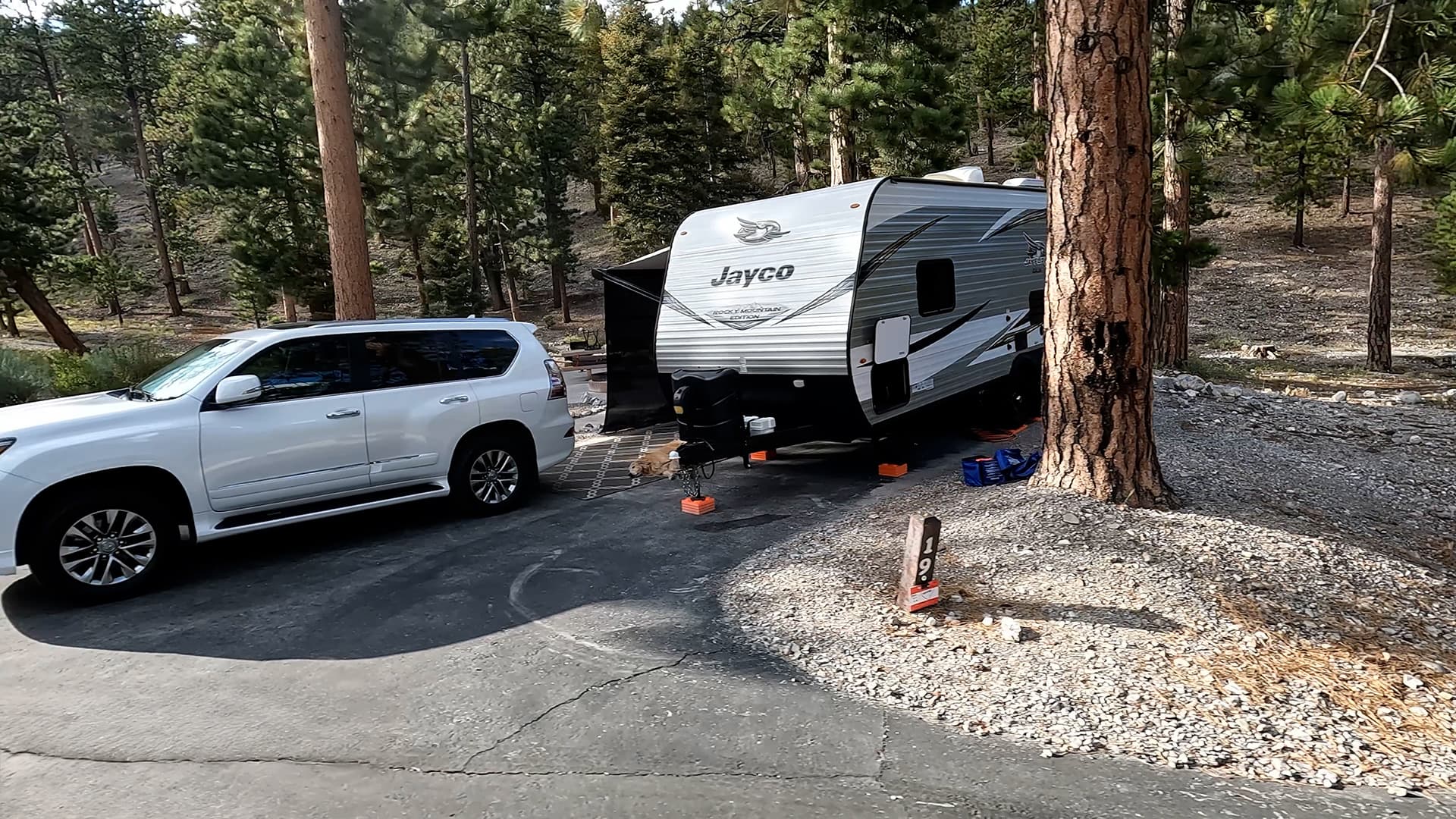 Site 19