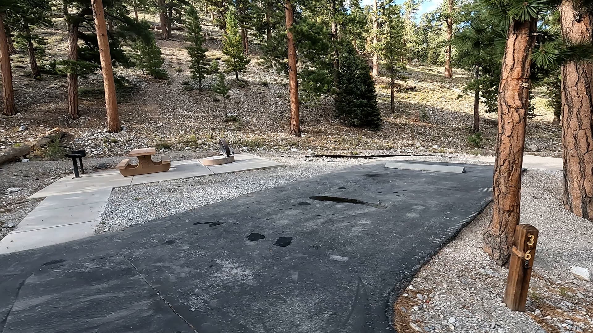 Site 36