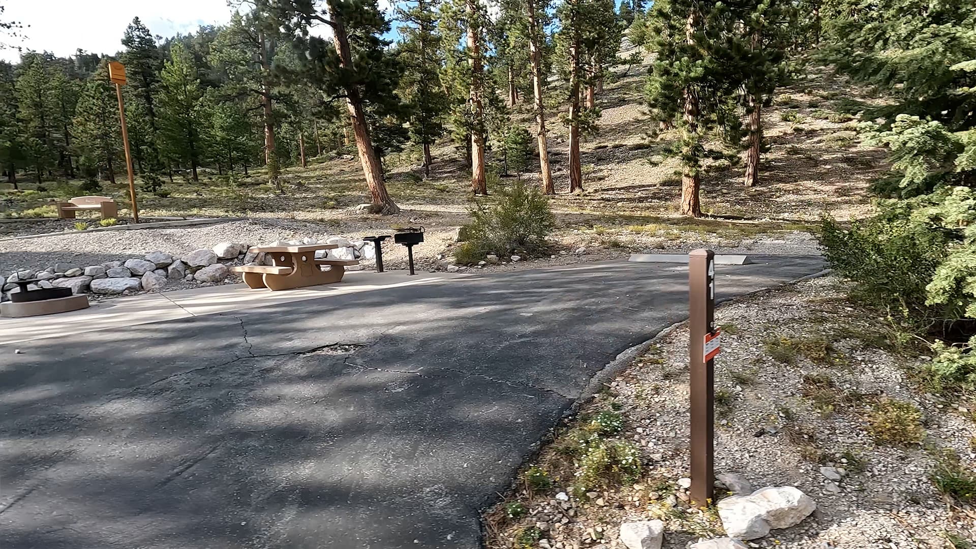 Site 41