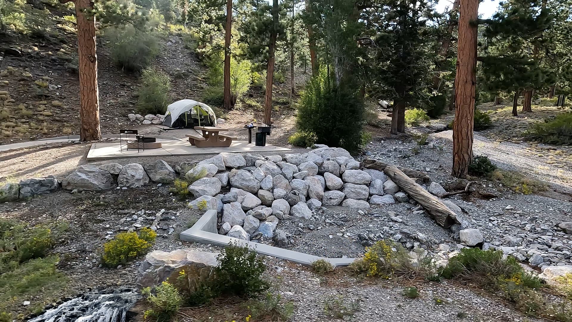 Site 42