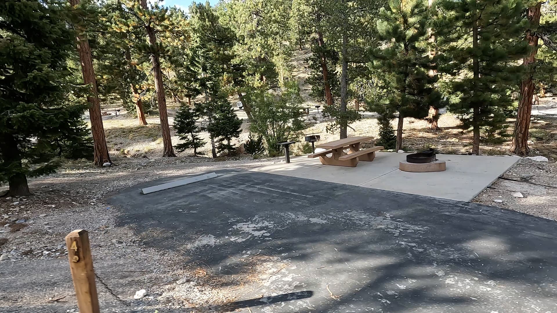 Site 43