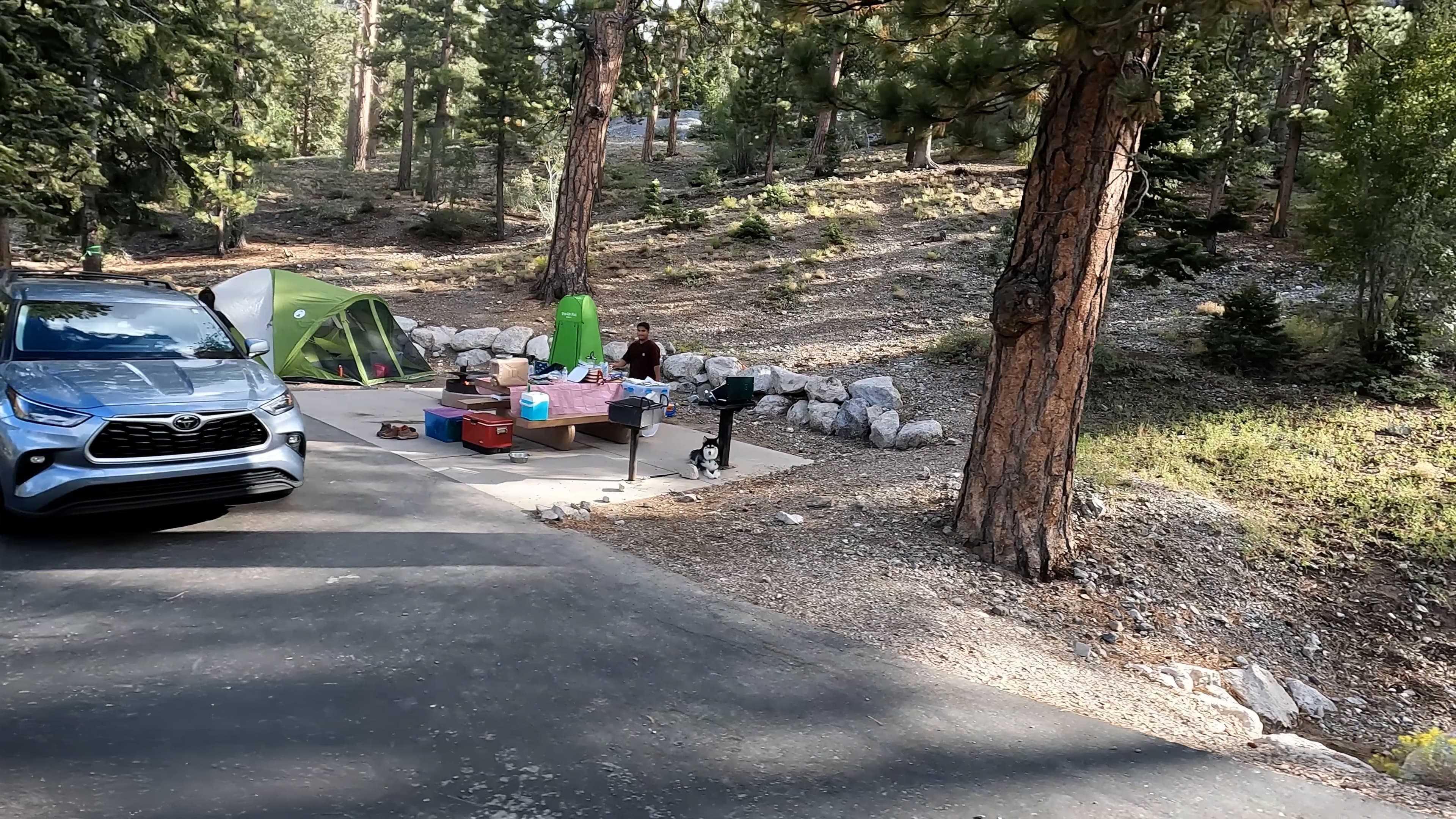 Site 44