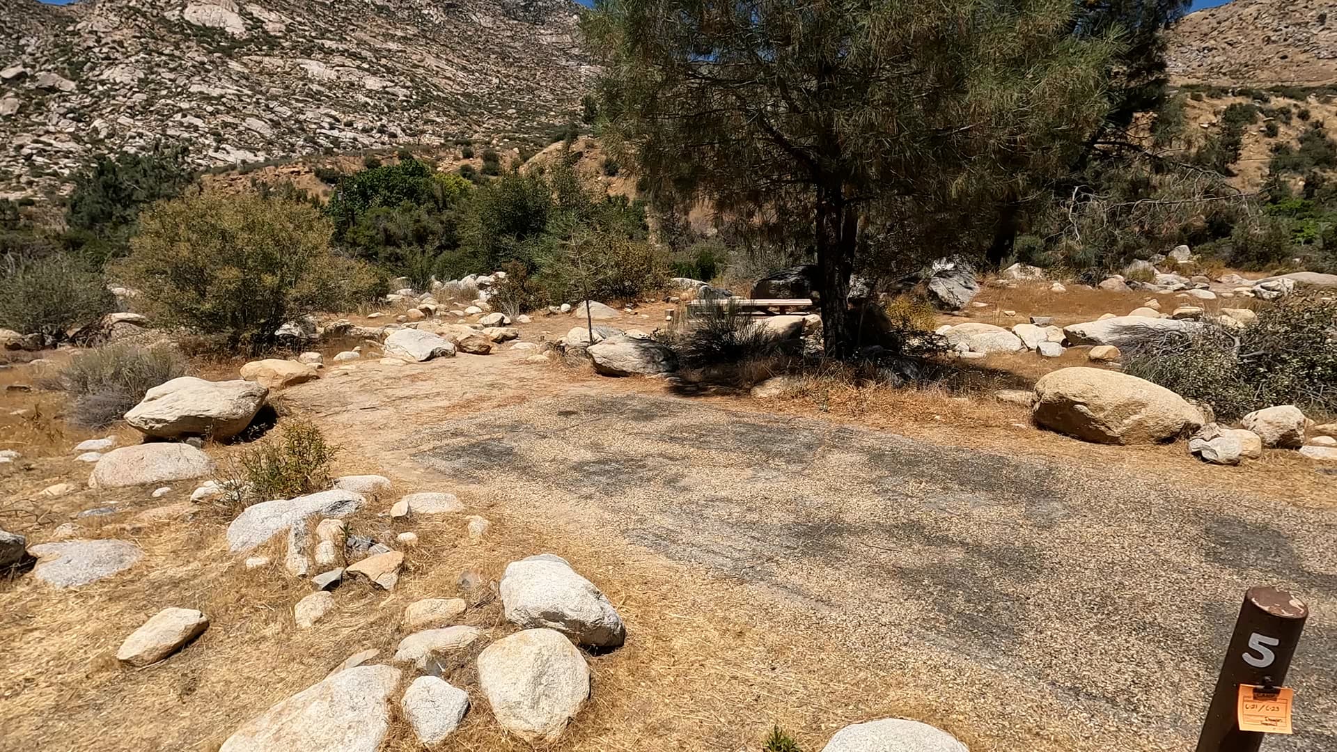 Site 5