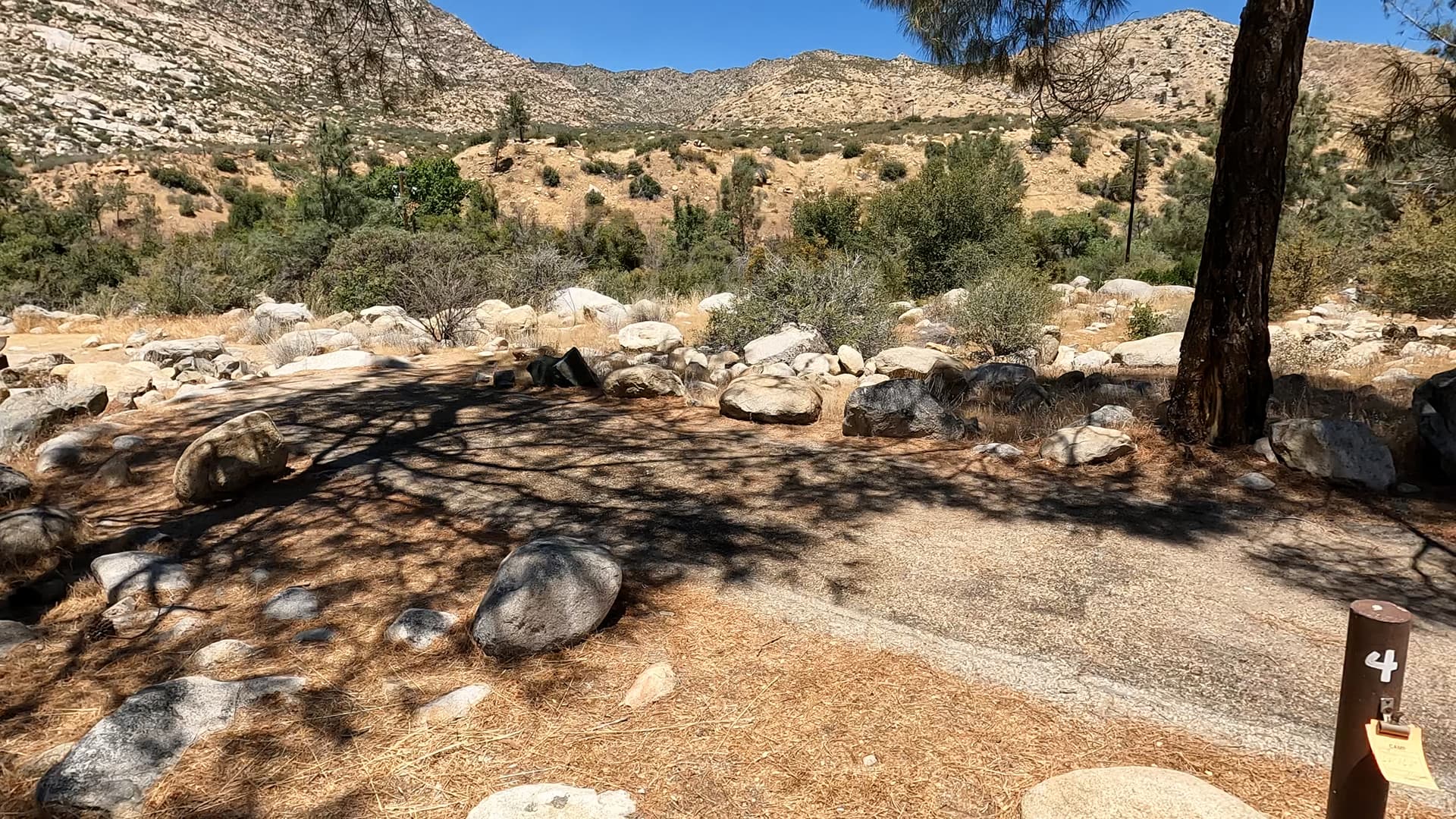Site 4