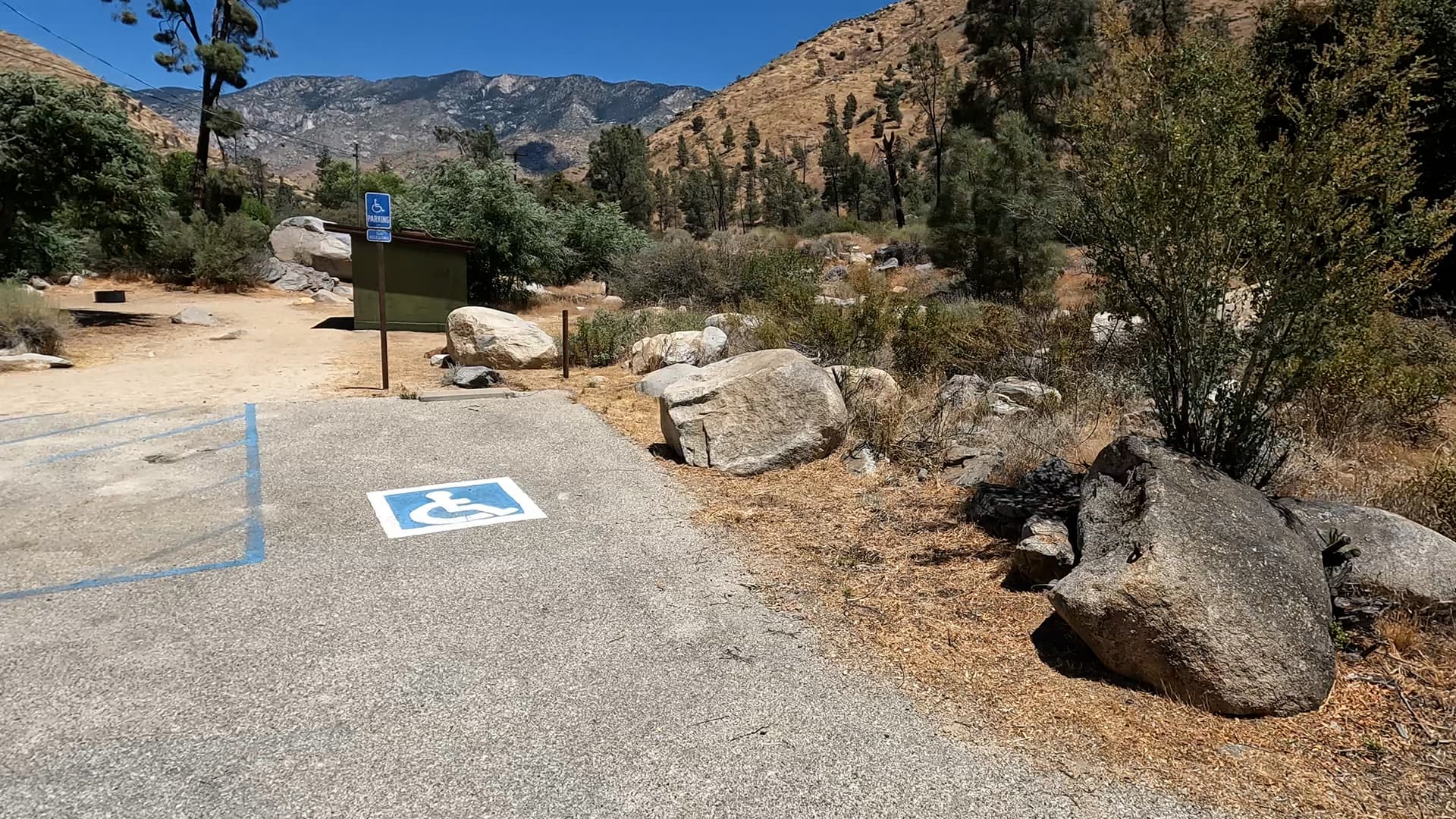 Site 8