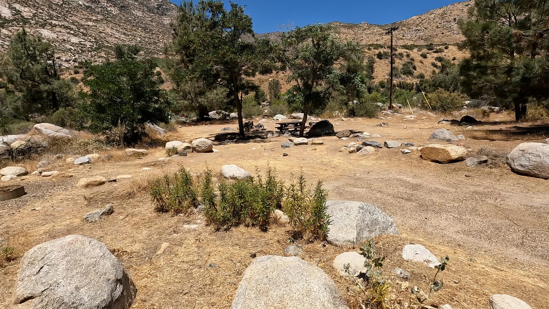 Site 7