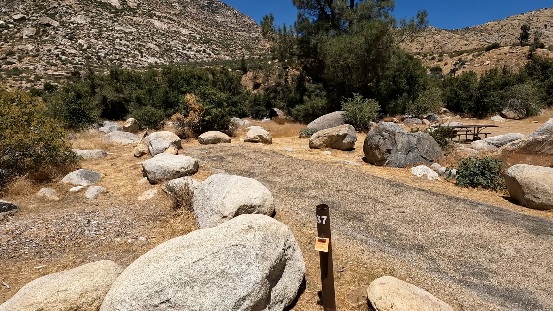 Site 37
