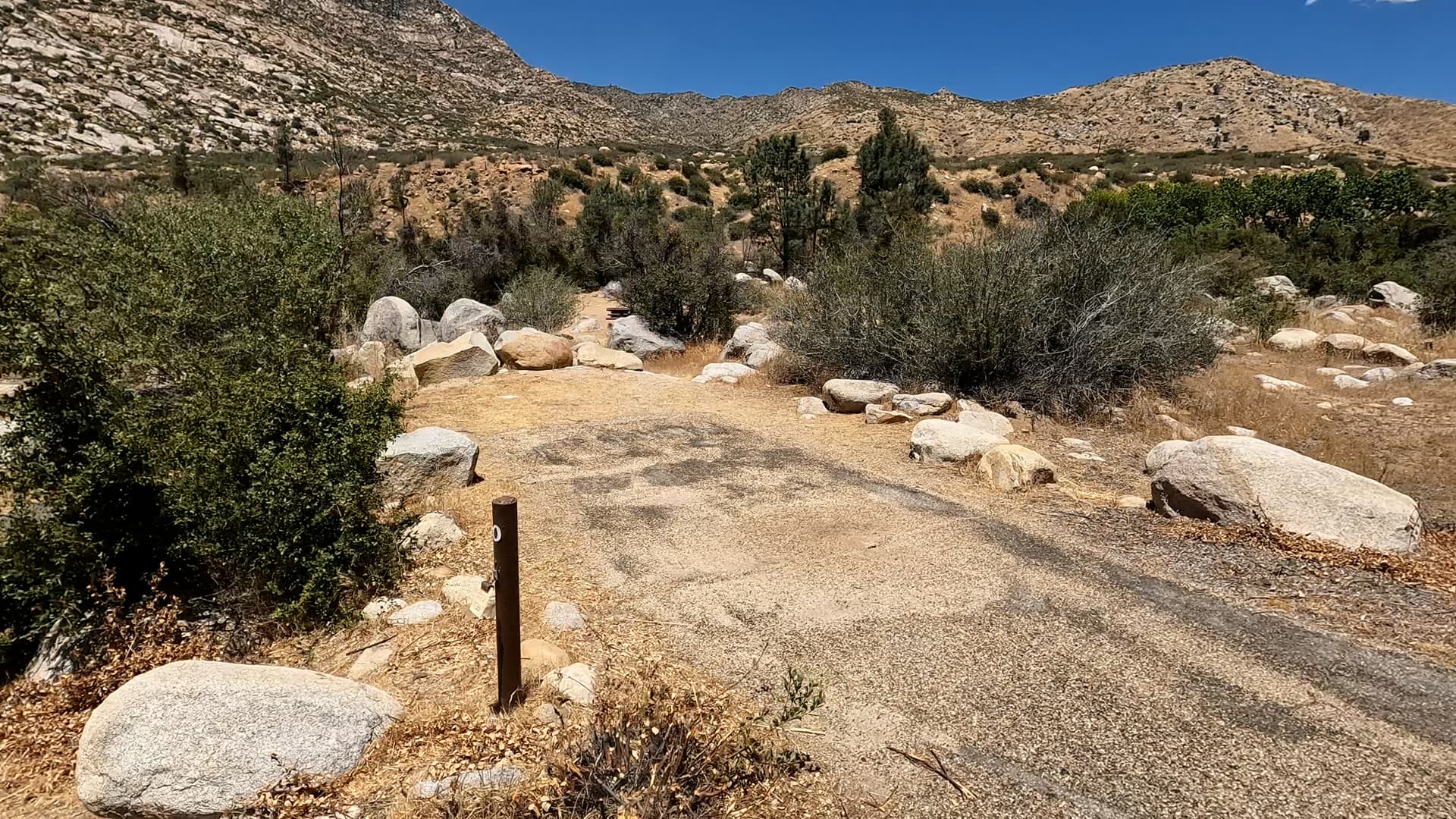 Site 40