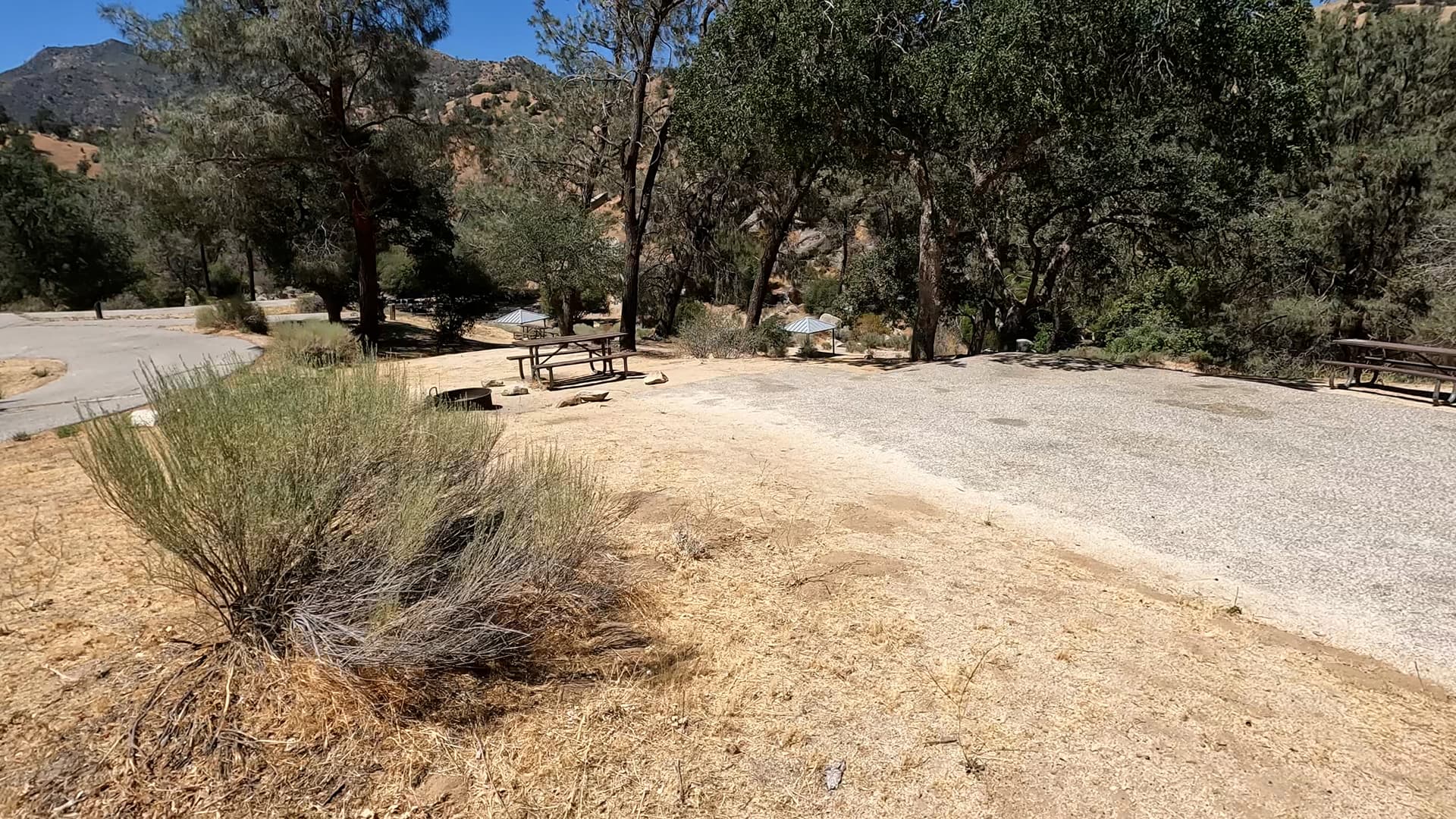 Site 7