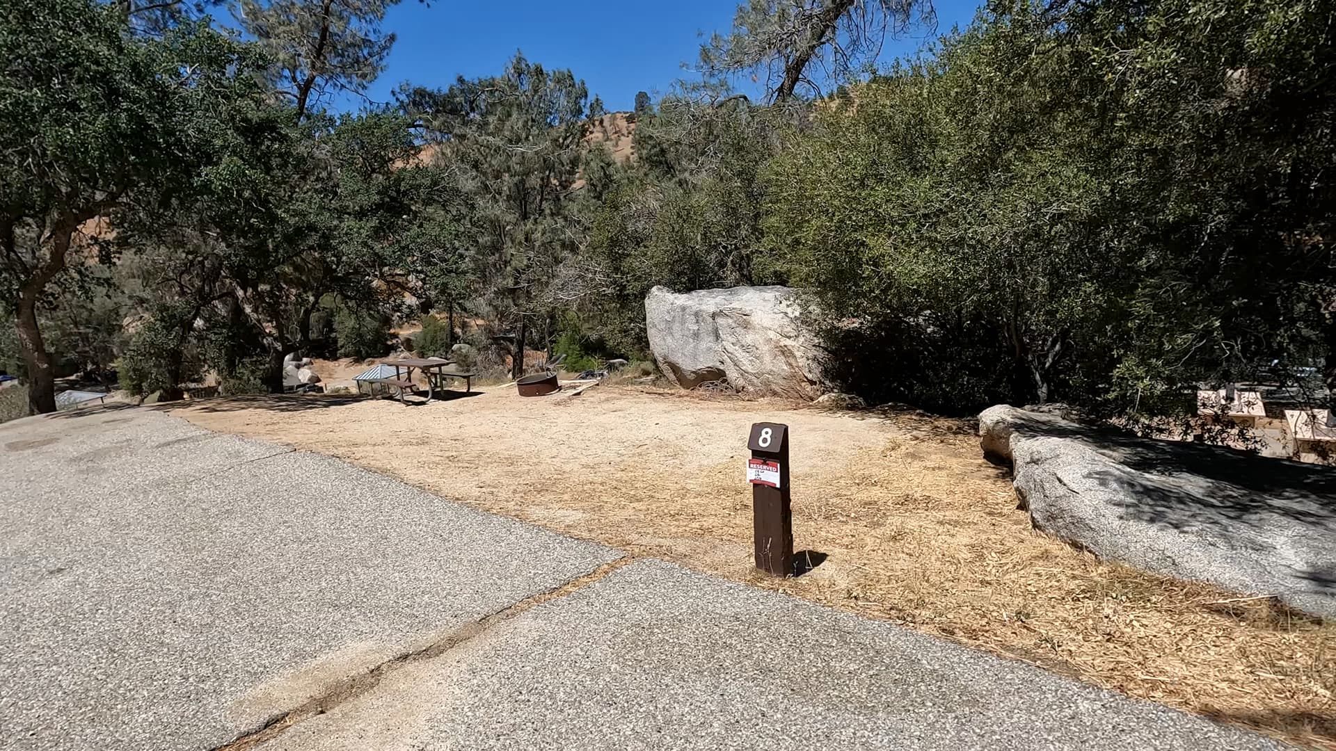 Site 8