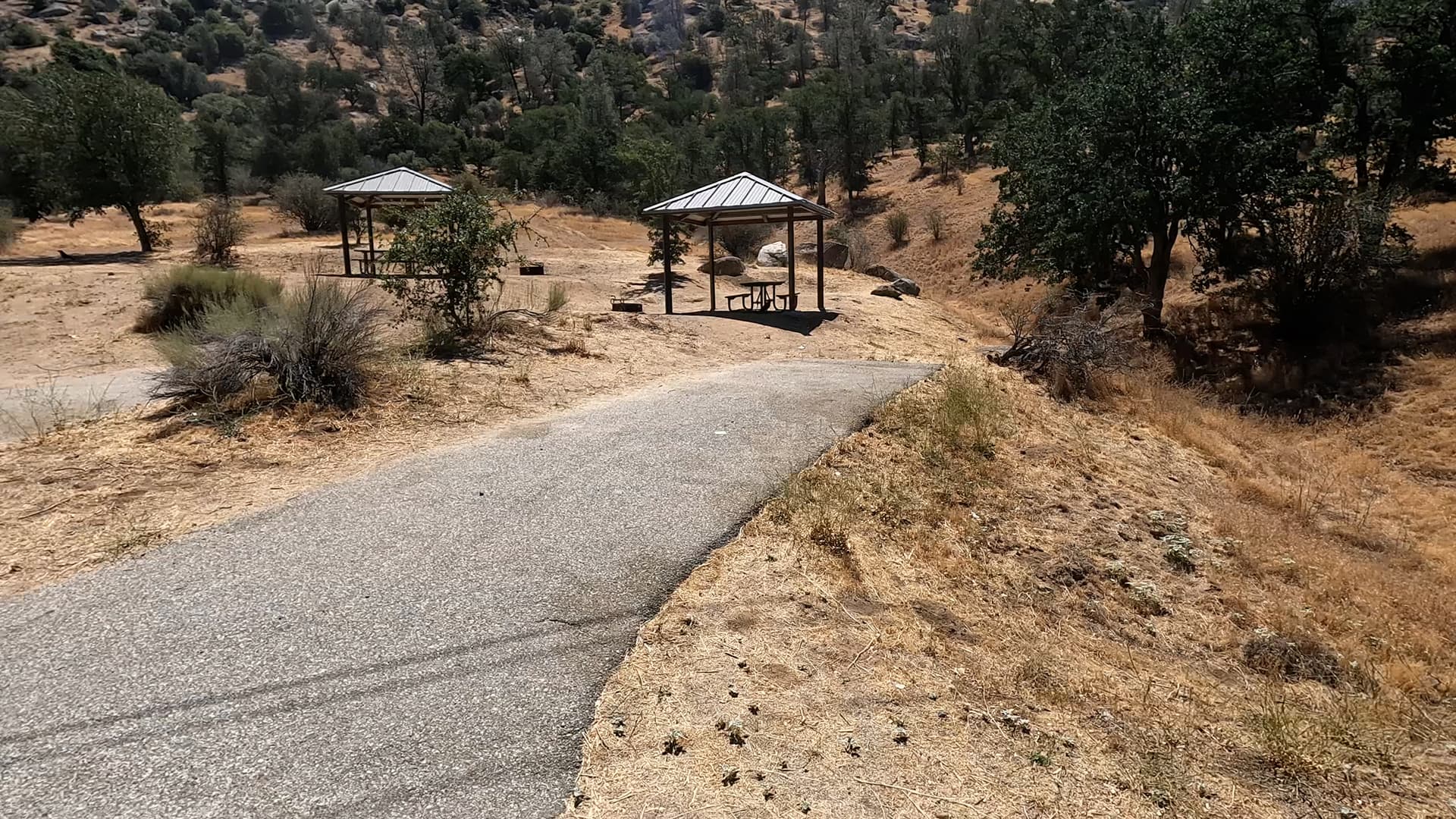 Site 11