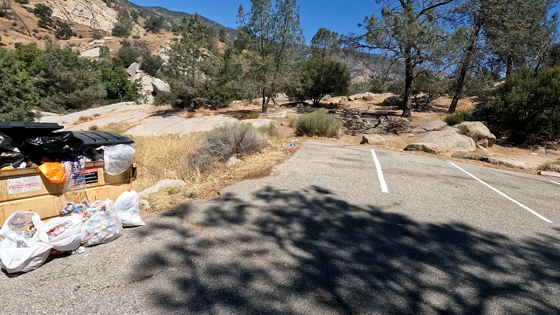 Site 19