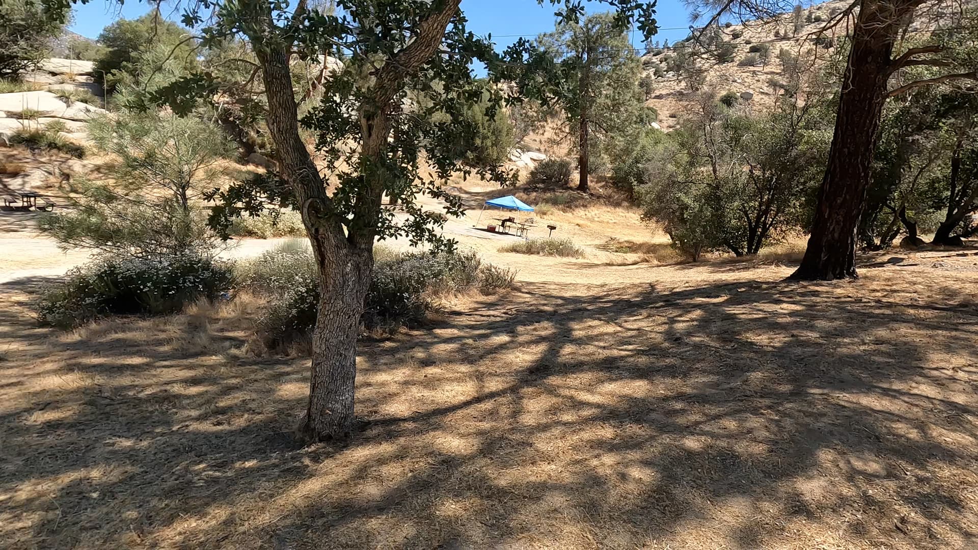 Site 15