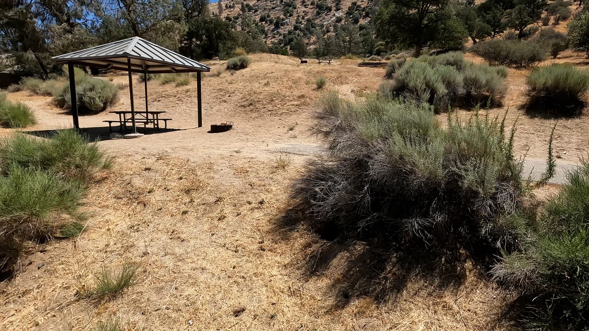 Site 29