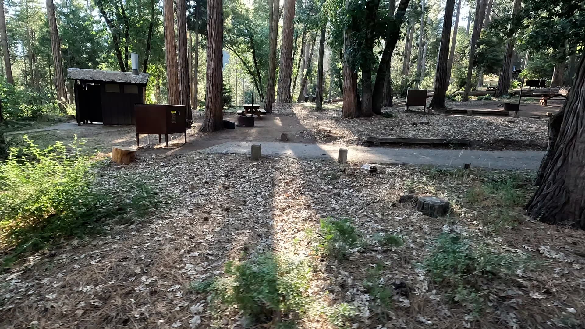 Site 1